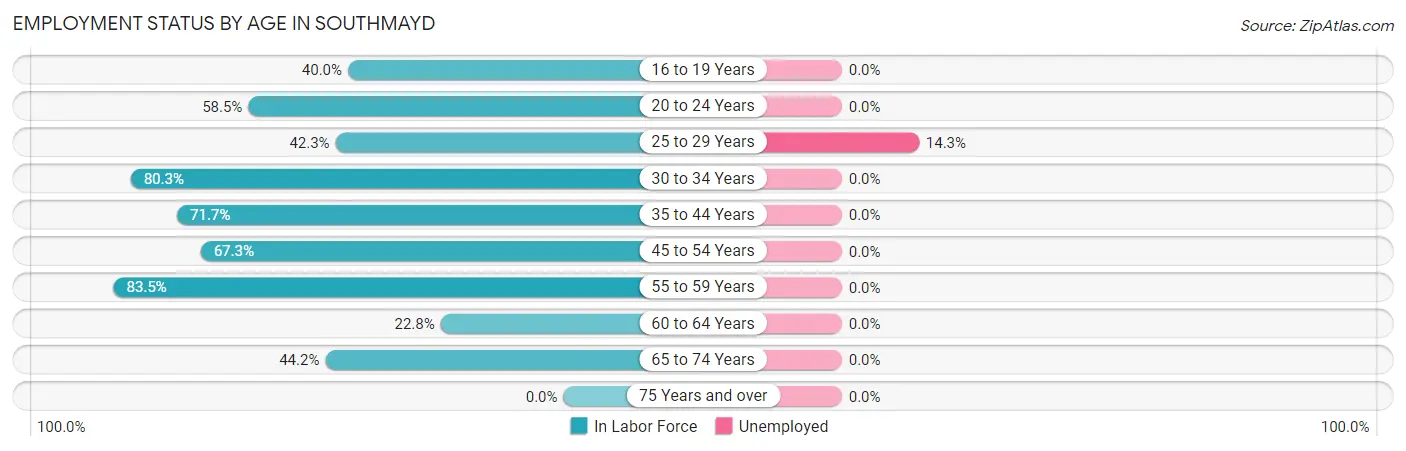 Employment Status by Age in Southmayd