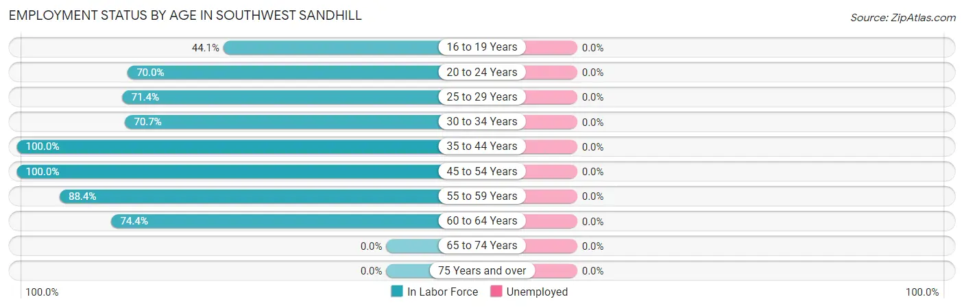 Employment Status by Age in Southwest Sandhill