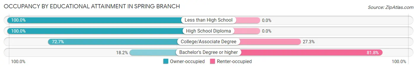 Occupancy by Educational Attainment in Spring Branch