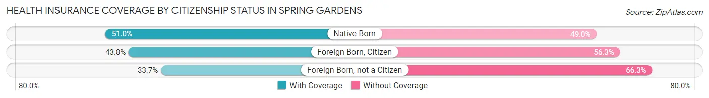 Health Insurance Coverage by Citizenship Status in Spring Gardens