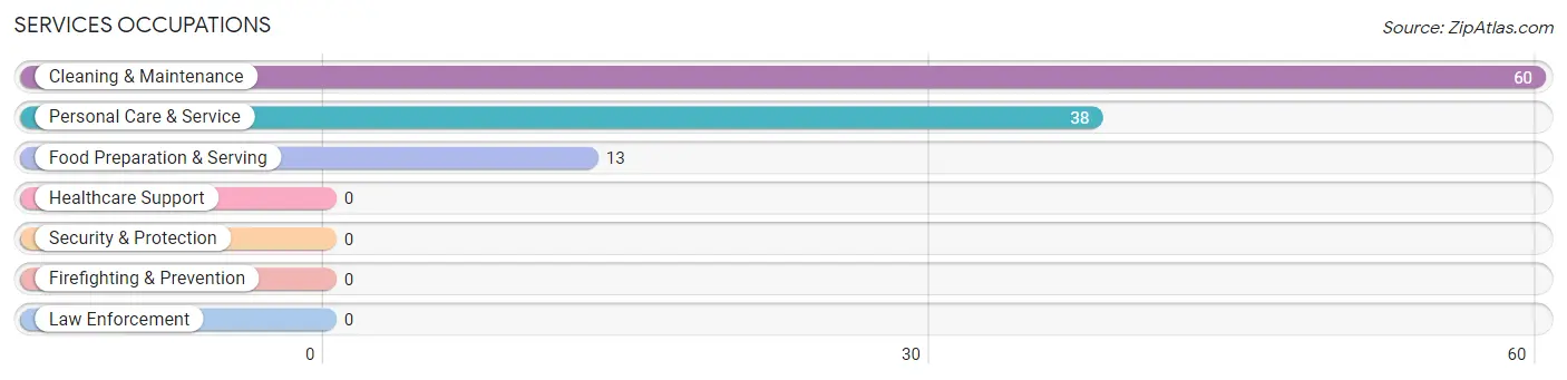 Services Occupations in Spring Gardens