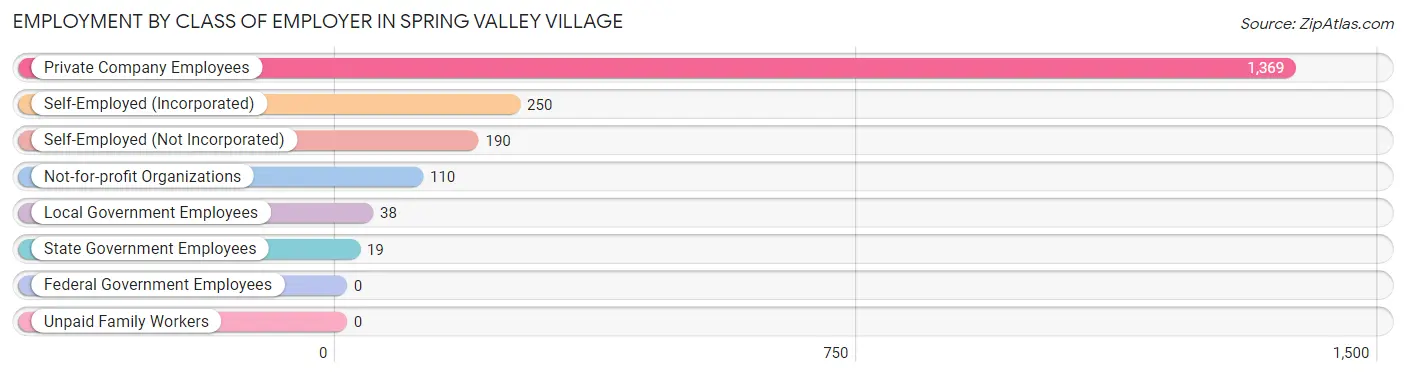 Employment by Class of Employer in Spring Valley Village