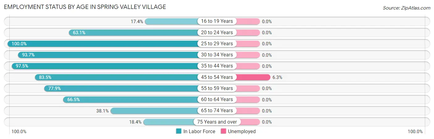 Employment Status by Age in Spring Valley Village