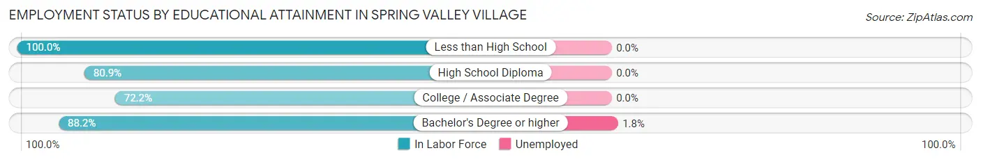 Employment Status by Educational Attainment in Spring Valley Village