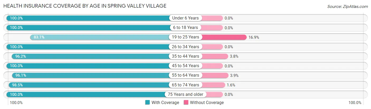 Health Insurance Coverage by Age in Spring Valley Village