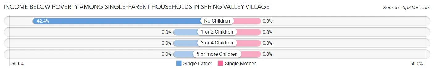 Income Below Poverty Among Single-Parent Households in Spring Valley Village