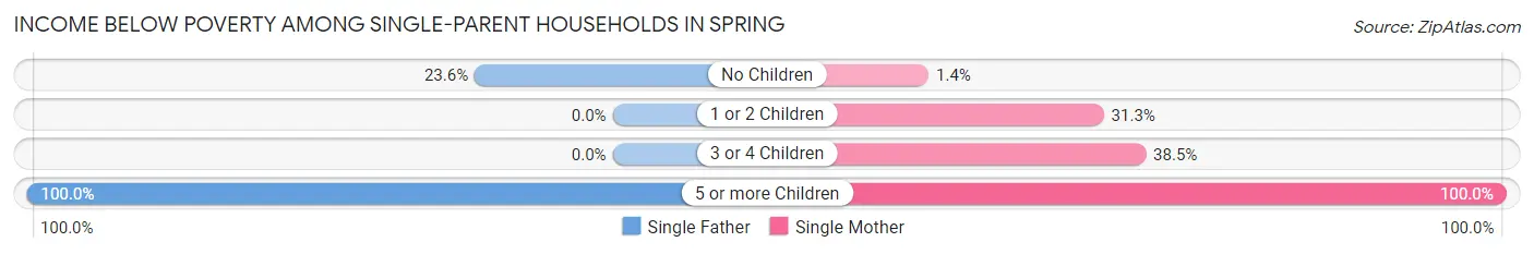 Income Below Poverty Among Single-Parent Households in Spring