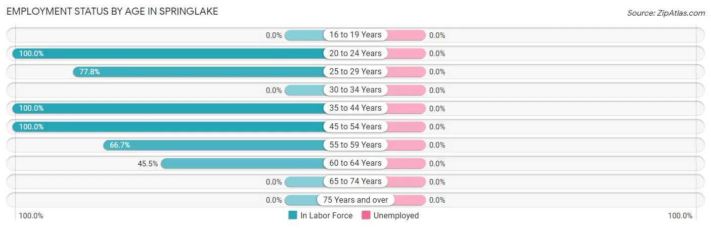 Employment Status by Age in Springlake