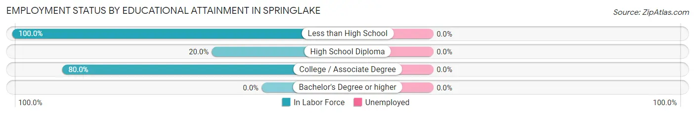 Employment Status by Educational Attainment in Springlake