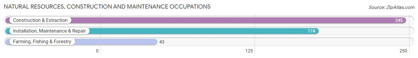 Natural Resources, Construction and Maintenance Occupations in Springtown