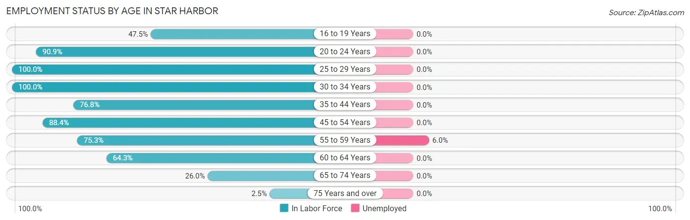 Employment Status by Age in Star Harbor