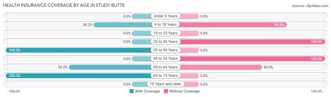 Health Insurance Coverage by Age in Study Butte