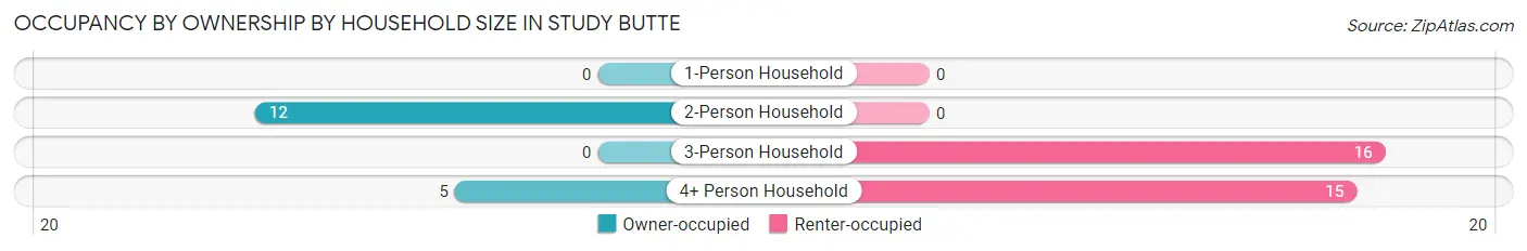 Occupancy by Ownership by Household Size in Study Butte