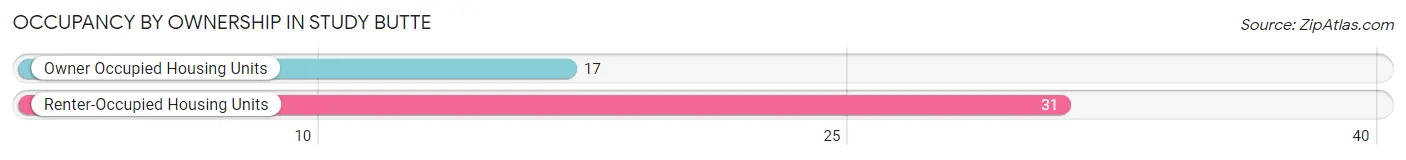 Occupancy by Ownership in Study Butte