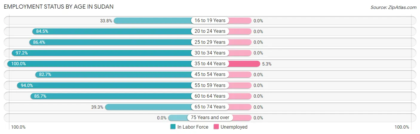 Employment Status by Age in Sudan