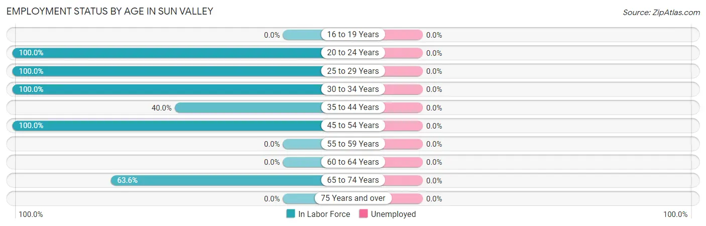 Employment Status by Age in Sun Valley