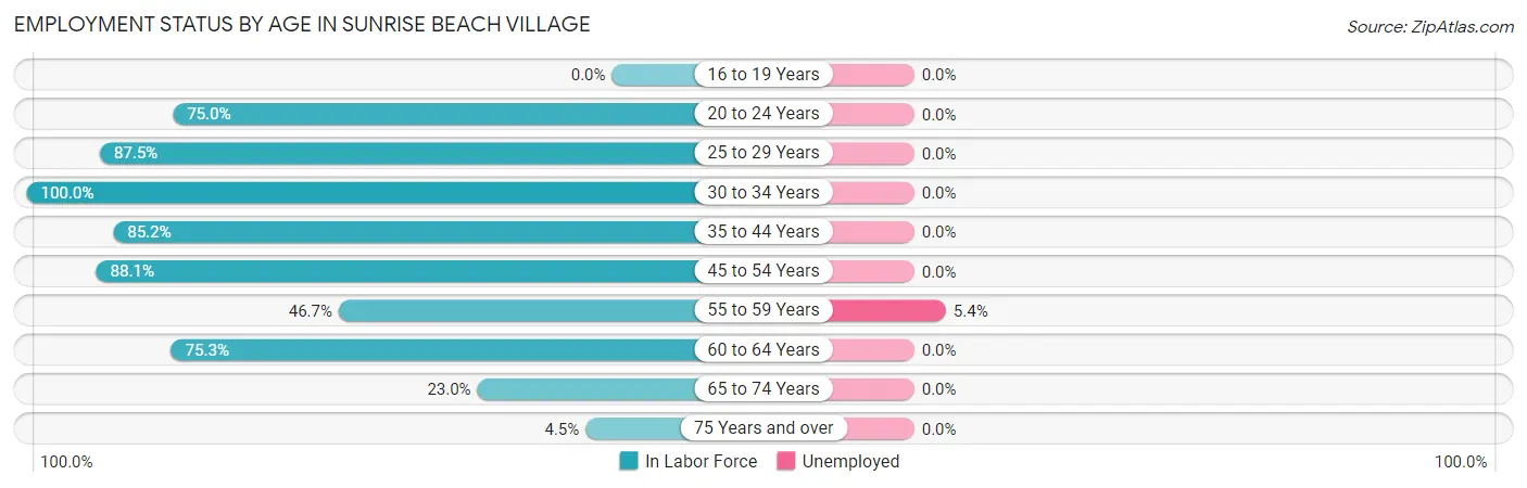 Employment Status by Age in Sunrise Beach Village