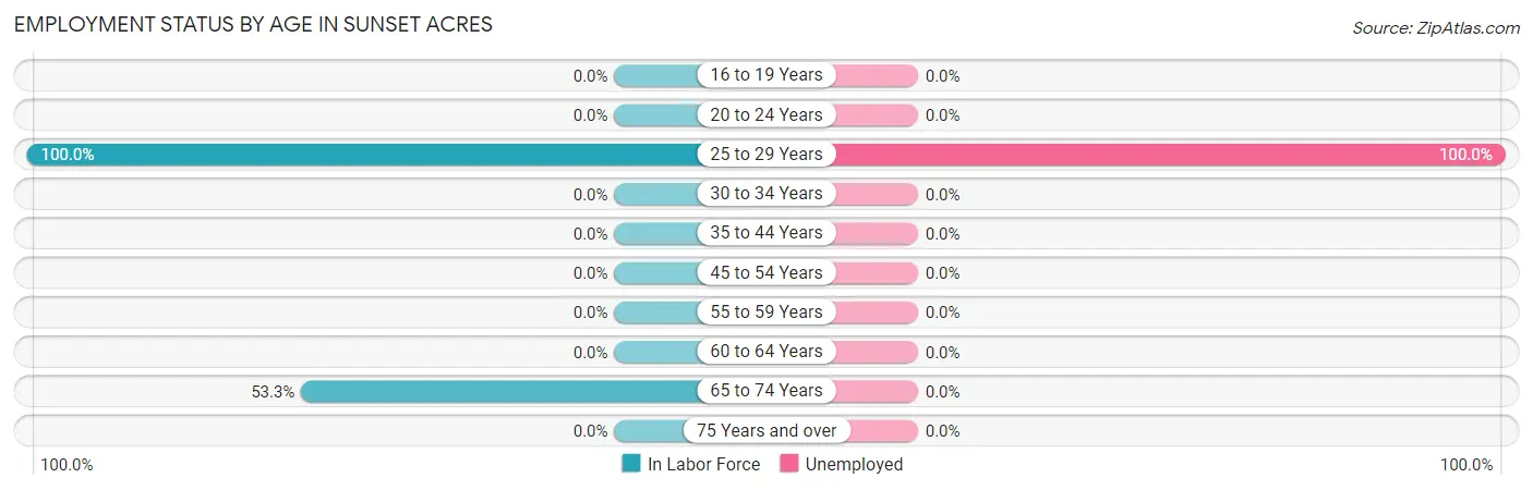 Employment Status by Age in Sunset Acres