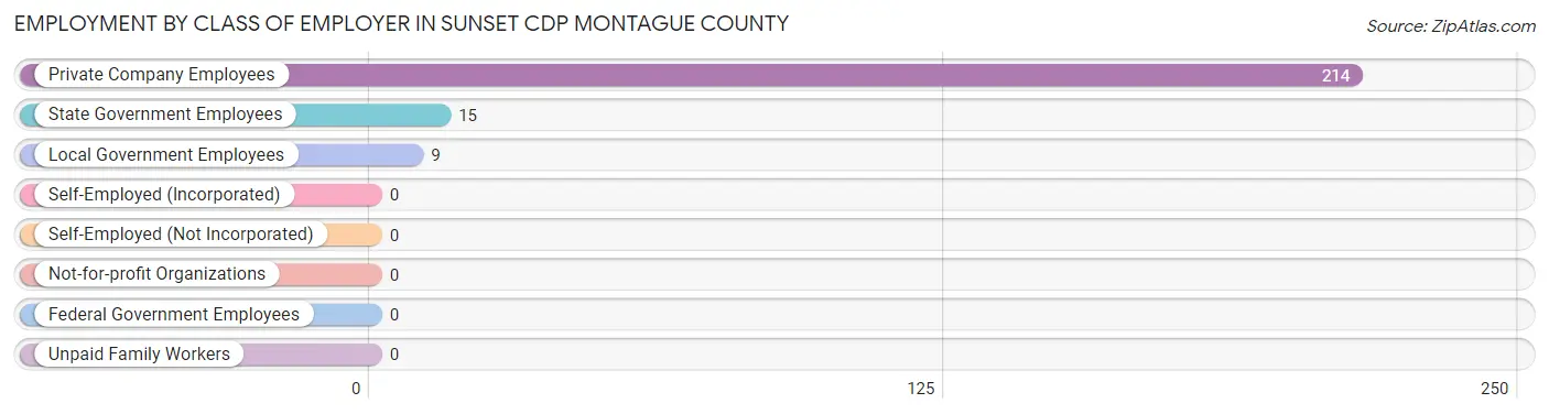 Employment by Class of Employer in Sunset CDP Montague County