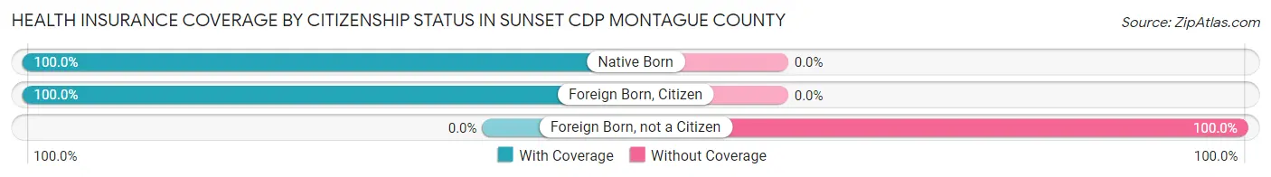 Health Insurance Coverage by Citizenship Status in Sunset CDP Montague County