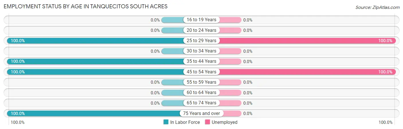 Employment Status by Age in Tanquecitos South Acres