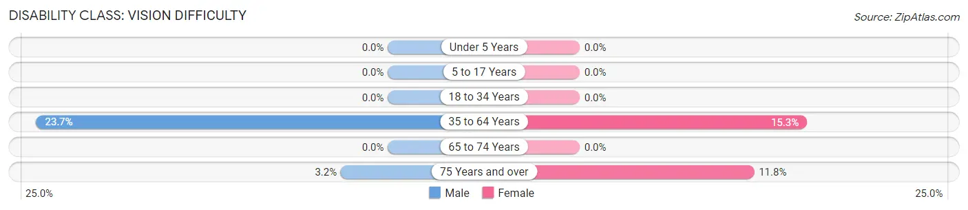 Disability in Tatum: <span>Vision Difficulty</span>