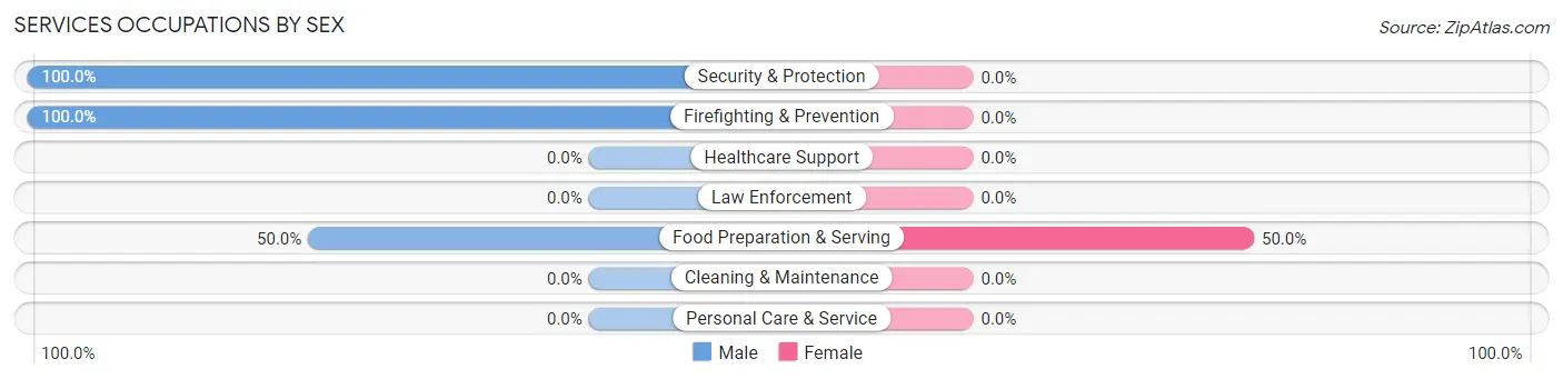 Services Occupations by Sex in Taylor Landing