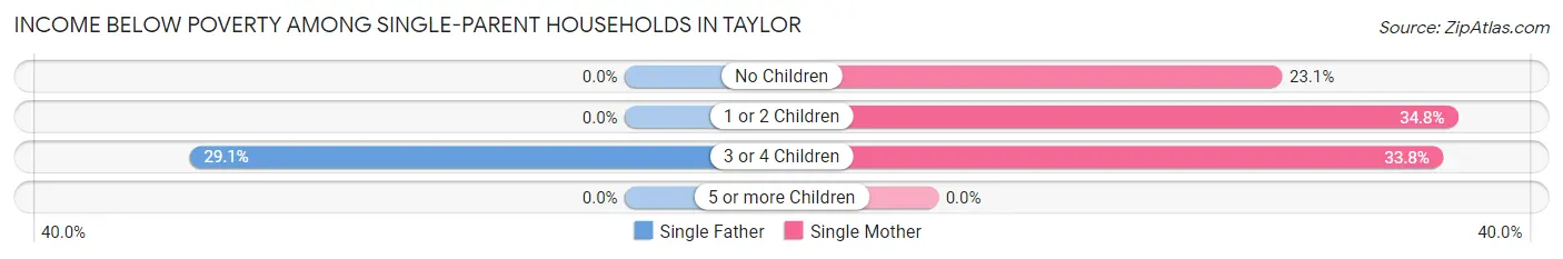 Income Below Poverty Among Single-Parent Households in Taylor