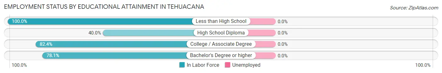 Employment Status by Educational Attainment in Tehuacana
