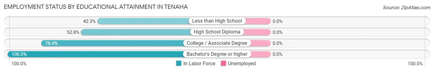 Employment Status by Educational Attainment in Tenaha