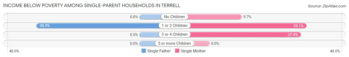 Income Below Poverty Among Single-Parent Households in Terrell