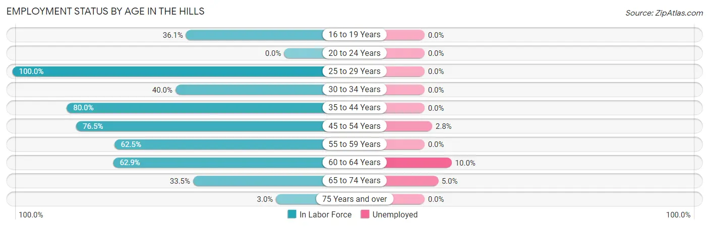 Employment Status by Age in The Hills