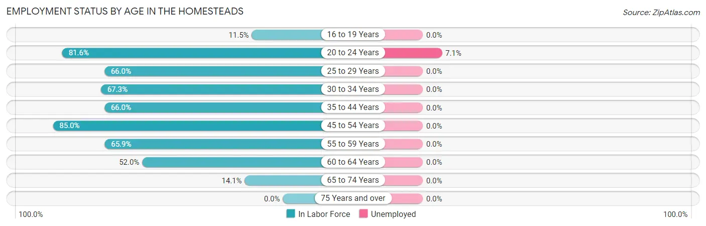 Employment Status by Age in The Homesteads