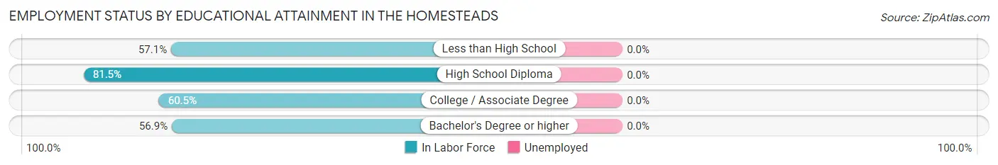 Employment Status by Educational Attainment in The Homesteads