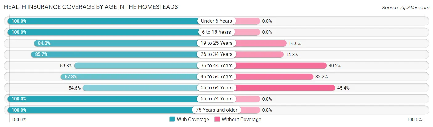 Health Insurance Coverage by Age in The Homesteads