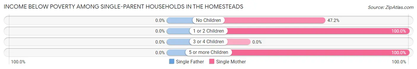 Income Below Poverty Among Single-Parent Households in The Homesteads
