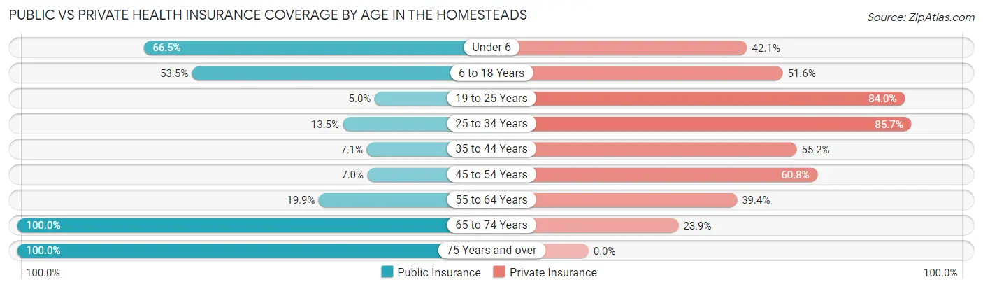 Public vs Private Health Insurance Coverage by Age in The Homesteads