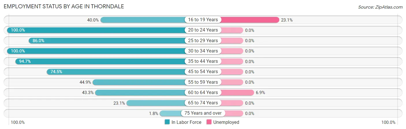 Employment Status by Age in Thorndale