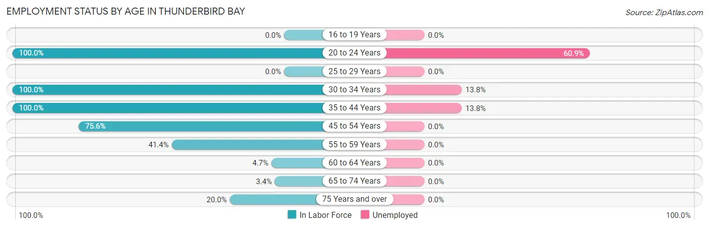Employment Status by Age in Thunderbird Bay