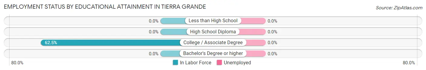 Employment Status by Educational Attainment in Tierra Grande