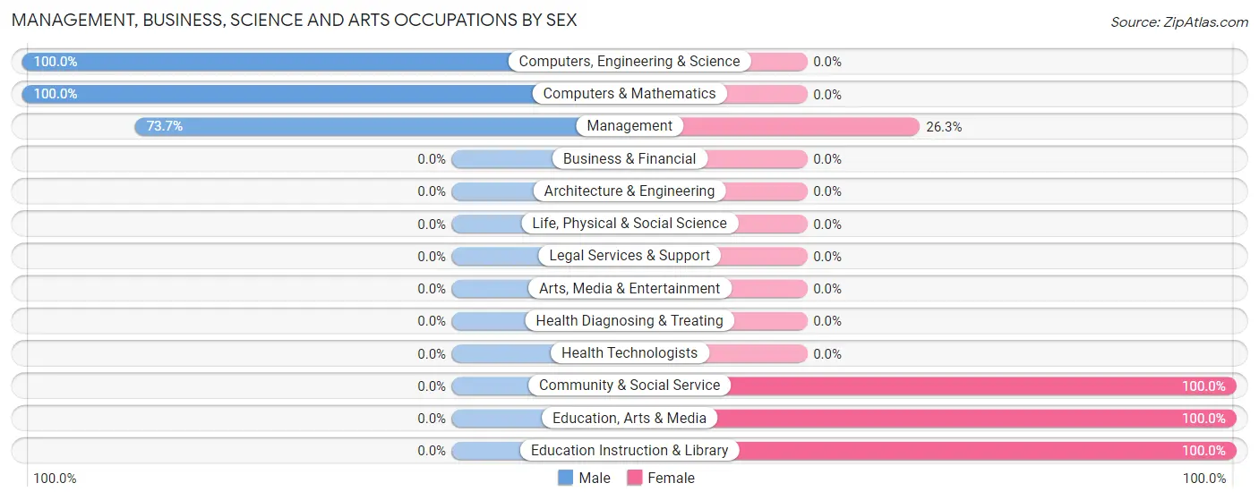 Management, Business, Science and Arts Occupations by Sex in Tira