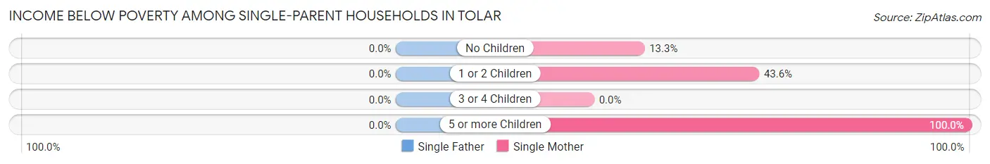 Income Below Poverty Among Single-Parent Households in Tolar