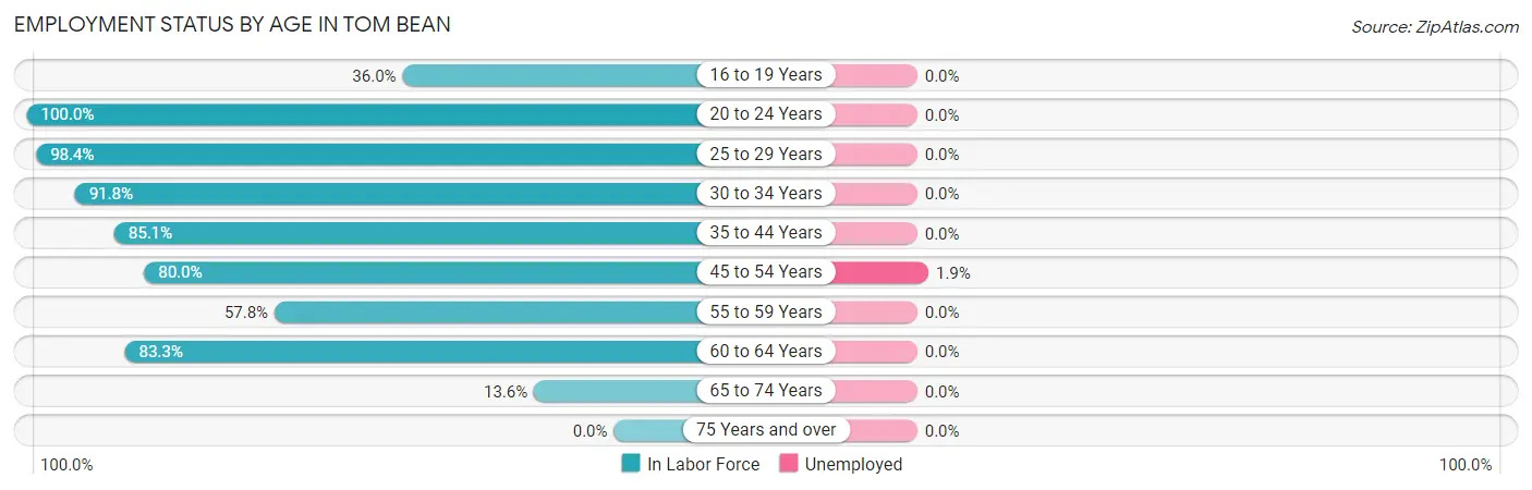 Employment Status by Age in Tom Bean
