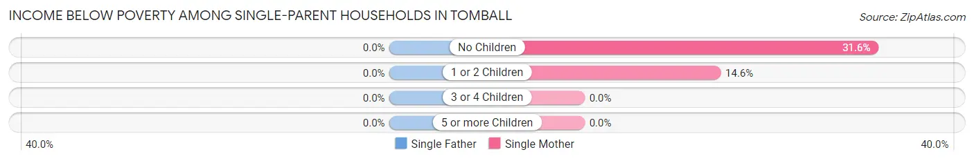 Income Below Poverty Among Single-Parent Households in Tomball