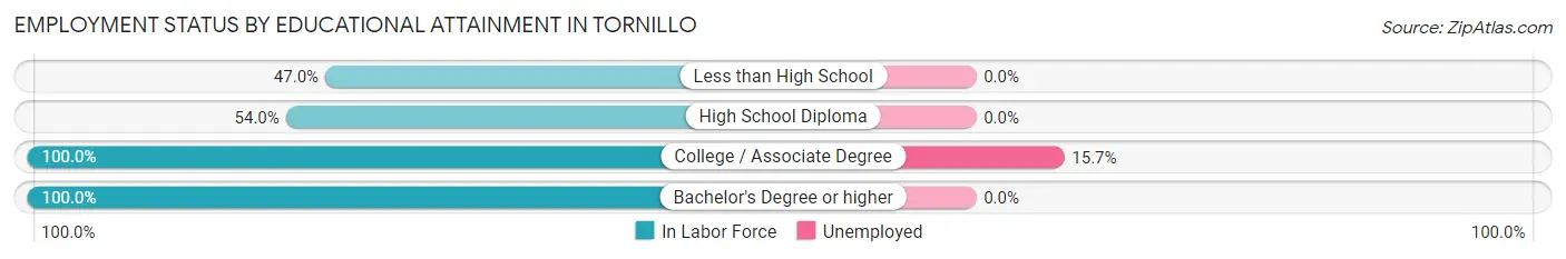 Employment Status by Educational Attainment in Tornillo