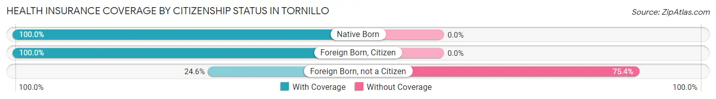 Health Insurance Coverage by Citizenship Status in Tornillo