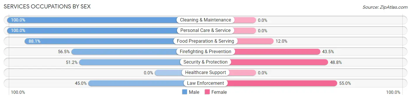 Services Occupations by Sex in Tornillo