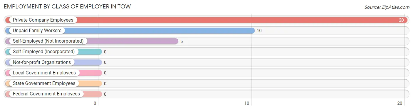 Employment by Class of Employer in Tow