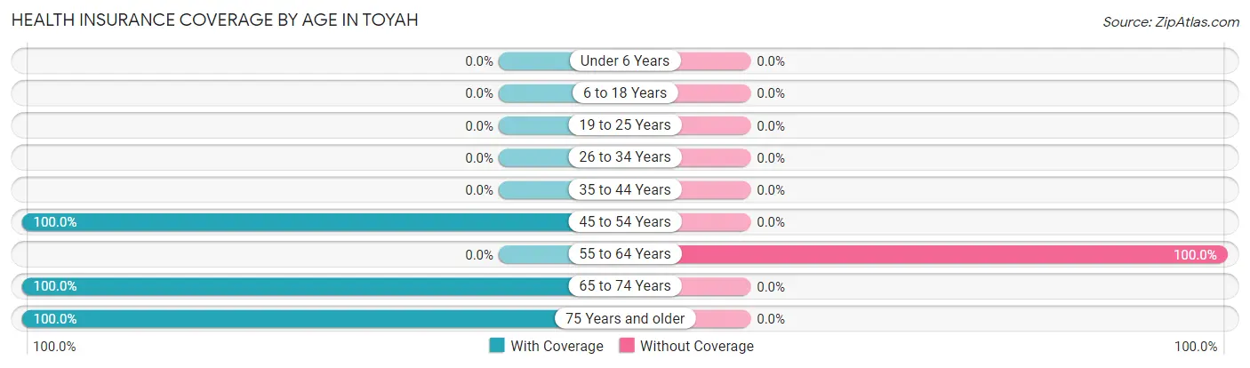 Health Insurance Coverage by Age in Toyah