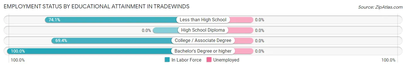Employment Status by Educational Attainment in Tradewinds